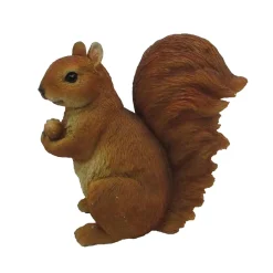 ohgreen Beelden|Eekhoorn zittend