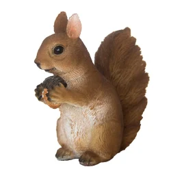 ohgreen Beelden|Eekhoorn zittend