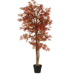 ohgreen Sfeermakers|Herfst|Esdoorn in pot - h165xd80