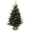 ohgreen Kerstbomen|Everton pe burlap base 61cm 50l
