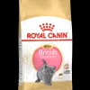 ohgreen Kat Voeding|Werelddierendag|Fbn kitten british shorthair 2kg
