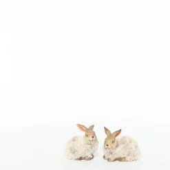 ohgreen Sfeermakers|Fun konijn s beige