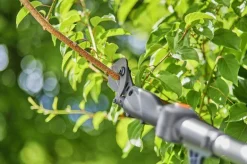 ohgreen Gereedschap Op Batterij|Ecocheques|Gardena telescopische takkenschaar