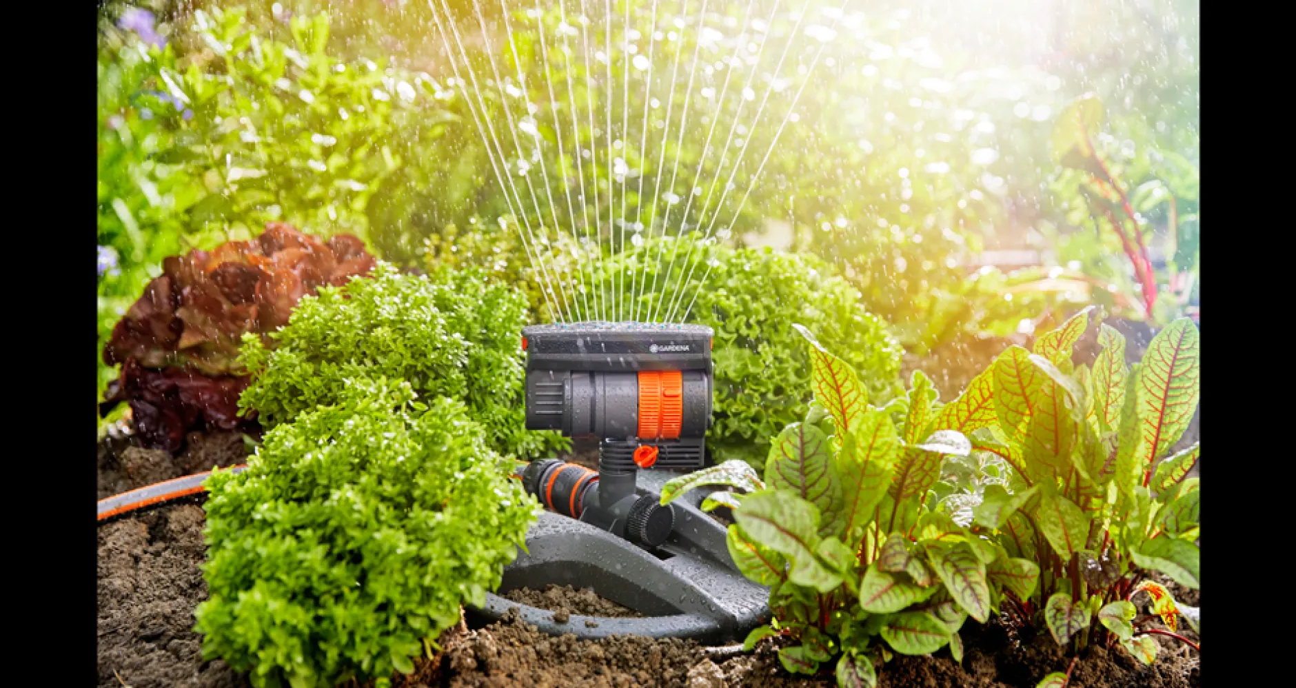 ohgreen Bewatering|Ecocheques|Gardena zwenksproeier AquaZoom compact