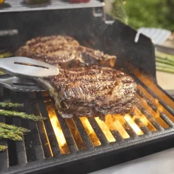 ohgreen Bbq|Gasbarbecue Spirit E-335