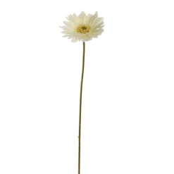 ohgreen Sfeermakers|Gerbera creme 56 cm