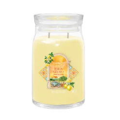 ohgreen Geuren|Geurkaars frozen lemon gelato large