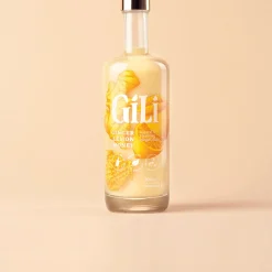 ohgreen Drank|Ecocheques|Gili gember elixir 700ml