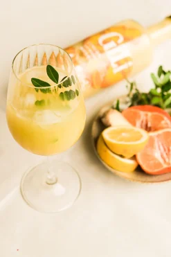 ohgreen Drank|Ecocheques|Gili gember elixir 700ml