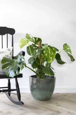 ohgreen Aardewerk|Glazed egg pot moss green