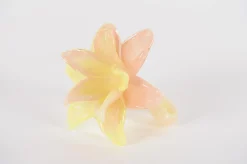 ohgreen Potten En Vazen|Glazen amaryllis bloem