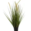 ohgreen Sfeermakers|Gras m/kattest pot 75cm groen