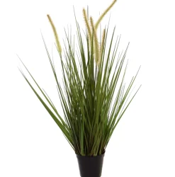 ohgreen Sfeermakers|Gras m/kattest pot 75cm groen