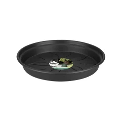 ohgreen Kweekbakken|Ecocheques|Green basics schotel 10