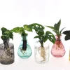 ohgreen Mediterrane Planten|Ecocheques|Groenmix in Glas
