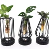 ohgreen Composities En Terrariums|Ecocheques|Groenmix in glas + led