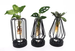 ohgreen Composities En Terrariums|Ecocheques|Groenmix in glas + led