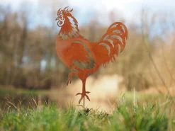 ohgreen Decoratie|Haan