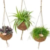 ohgreen Groene Planten|Ecocheques|Hangende sierpot kokodama p15 h15