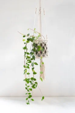 ohgreen Potten En Vazen|Hanger Curtis