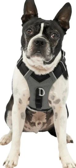 ohgreen Hals-En Leibanden|Harnas kurgo journey air tuigje -s