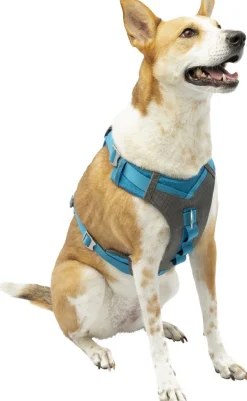 ohgreen Hals-En Leibanden|Harnas kurgo journey air tuigje bl-l