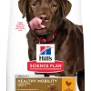 ohgreen Hond Voeding|Werelddierendag|Hill's science plan adult healthy mobility large breed hondenvoer kip 12kg