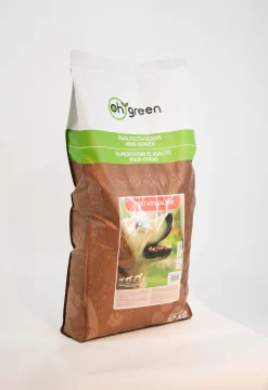ohgreen Werelddierendag|Hond Voeding|Hondenbrokken adult salmon 12kg