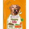 ohgreen Werelddierendag|Hond Voeding|Hondenbrokken happy life adult met rundsmaak 2,5kg