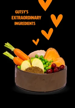 ohgreen Hond Voeding|Hondenbrokken kip en insect 10kg adult large