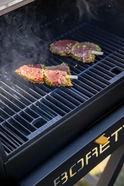 ohgreen Bbq|Houtskoolbarbecue Fratello 2.0