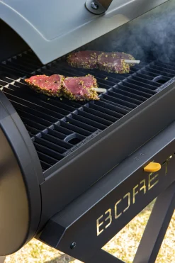 ohgreen Bbq|Houtskoolbarbecue Fratello 2.0