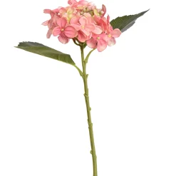 ohgreen Sfeermakers|Hydrangea roze 45 cm