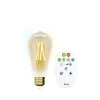 ohgreen Verlichting|Ecocheques|Idual filament bulb st64 e27 ambergoud + remote