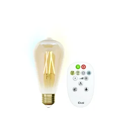 ohgreen Verlichting|Ecocheques|Idual filament bulb st64 e27 ambergoud + remote