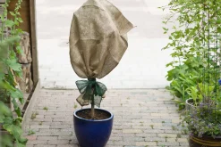 ohgreen Tuinafsluiting En Hout|Juteband h10cmx25m groen 220g/m²