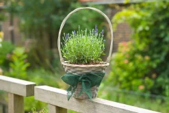 ohgreen Tuinafsluiting En Hout|Juteband h10cmx25m groen 220g/m²