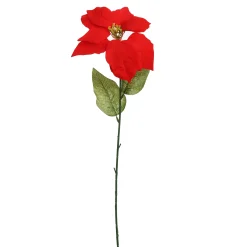 ohgreen Kerstdecoratie|Kerstster 70cm rood