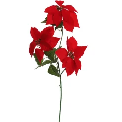 ohgreen Kerstdecoratie|Kerstster x3 tak 70cm rood