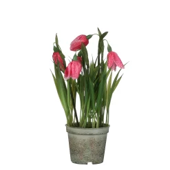 ohgreen Sfeermakers|Kievitsbloem in roze plastic pot - h23xd8,5cm
