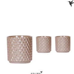 ohgreen Vaste Planten|Ecocheques|Kolibri home Diam pearl potje