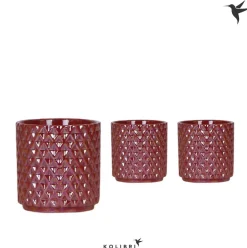 ohgreen Vaste Planten|Ecocheques|Kolibri home diam red potje