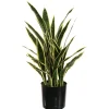 ohgreen Sfeermakers|Kunstplant Sanseveria