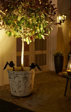 ohgreen Verlichting|Ecocheques|Lamp Texas Solar