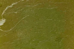 ohgreen Kaarsen|Luz Your Senses kaars