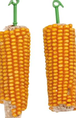 ohgreen Knaagdieren Voeding|Maiskolven 2 st. - 200 gr.