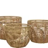 ohgreen Potten En Vazen|Mand