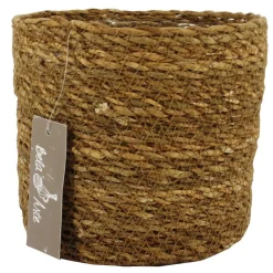 ohgreen Potten En Vazen|Mand chennai