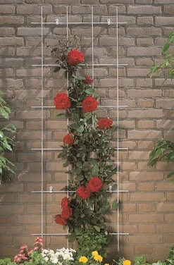 ohgreen Bind En Steun|Ecocheques|Metalen klimrek groen