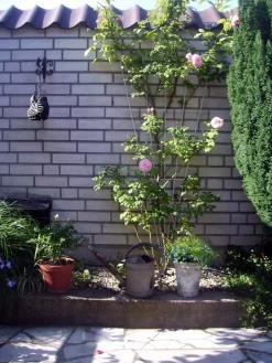 ohgreen Bind En Steun|Ecocheques|Metalen klimrek V-vorm groen